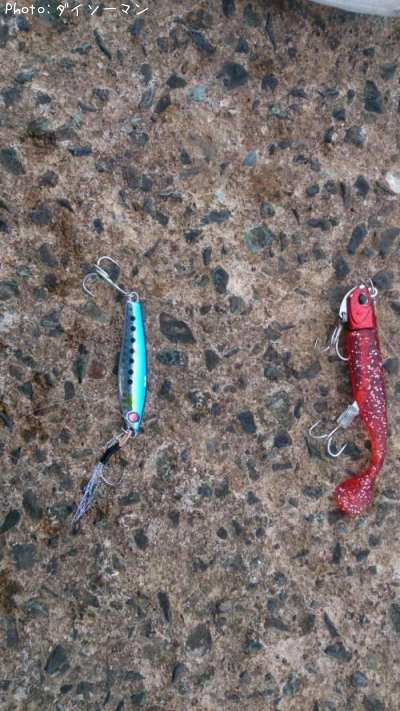 �����ʾС�