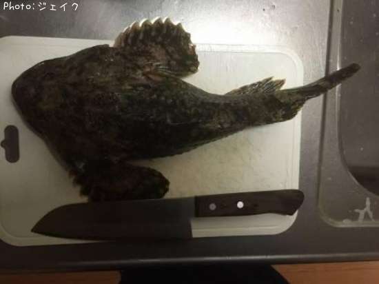 ������