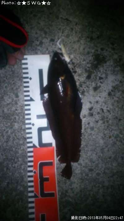 ���������ɥ�