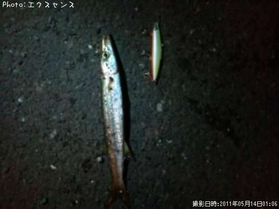 ���ޥ��ʾС�