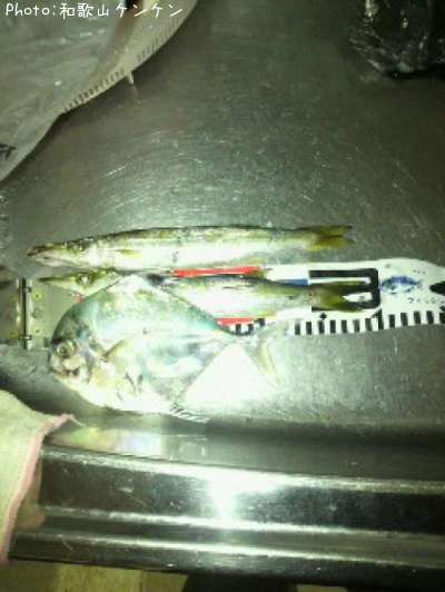 ���ޥ������ȥҥ�