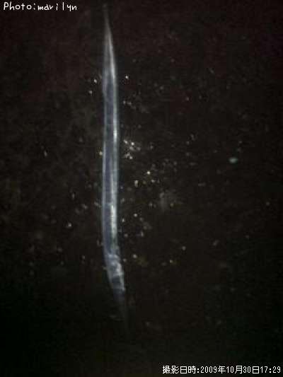 ���ޥ��ߤ����ʵ�