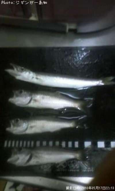 ���ޥ������