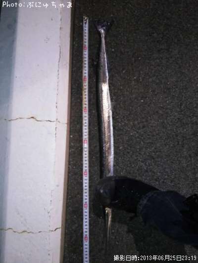 ���ޥ�������ꡩ