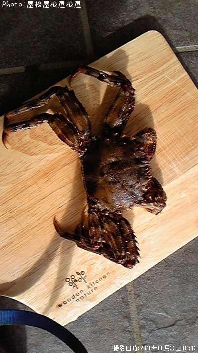 ���ˤ���ʾС�