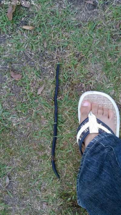 ���󥿥����ߥߥ�