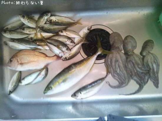 �˼�����Τ��äĤ���