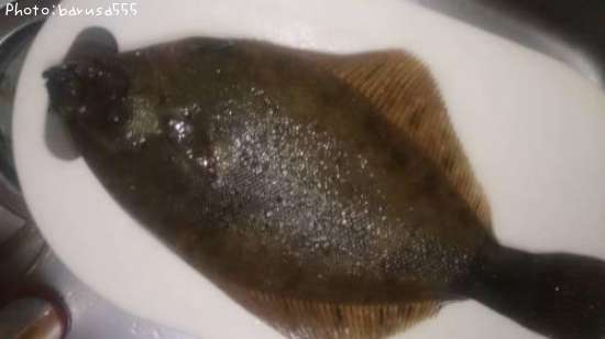 ���쥤���ϥ����ѿ�