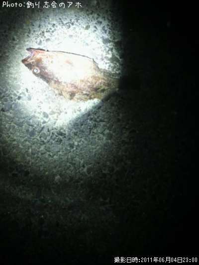 �����������ʥ�