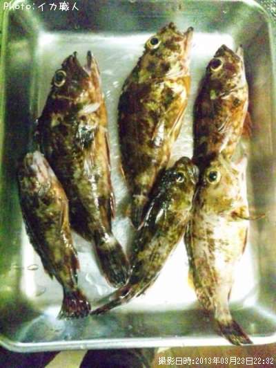 �������ʥ������