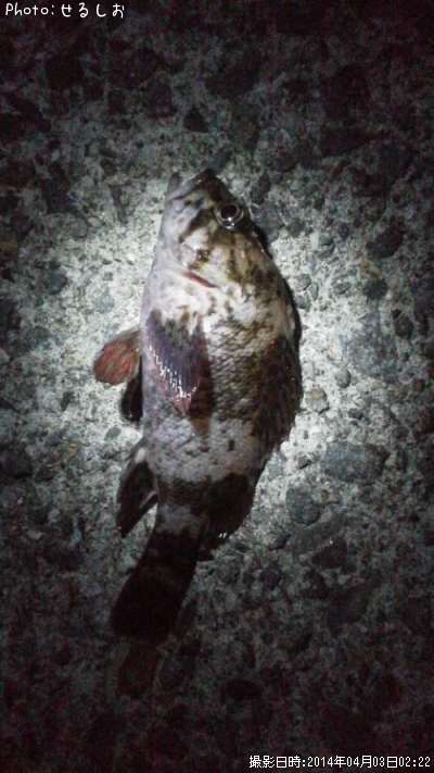 �������إ����餯���