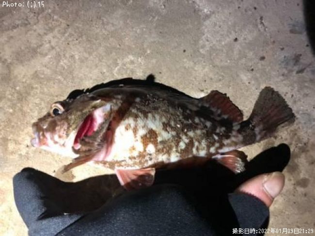 ���������ϥ�