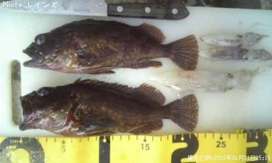 ������������