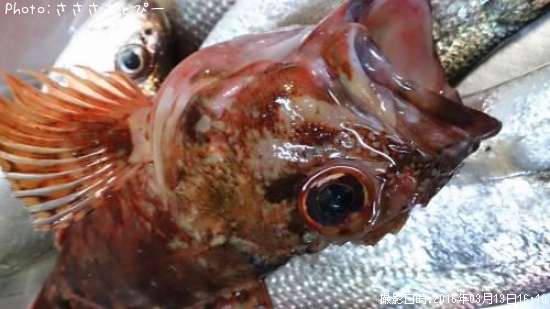 ���������������