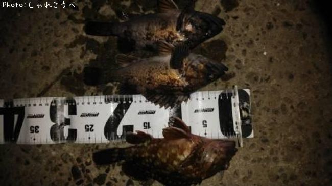 ����������������