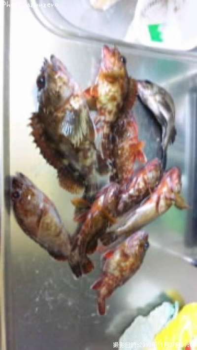 ����������Х�