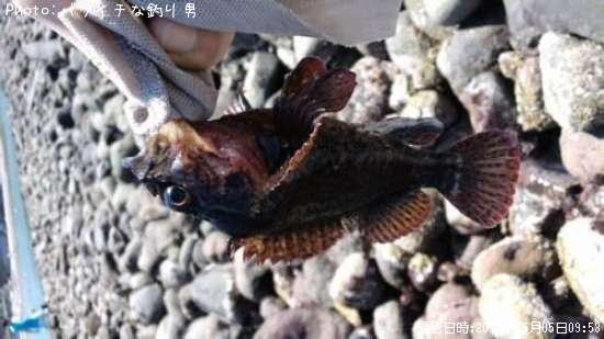 ����������饽����