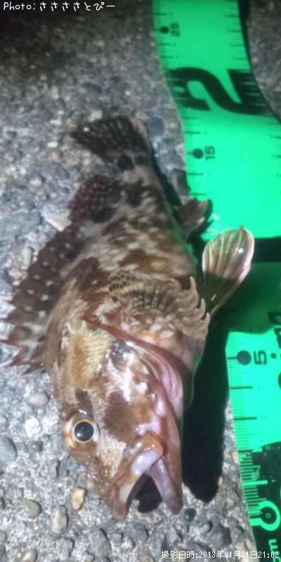 ���������ʥޥ�