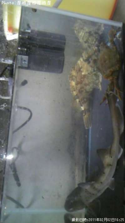 �����������ᡦ����