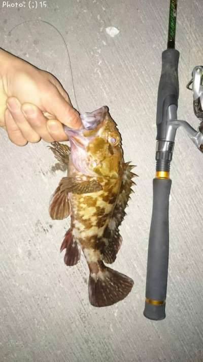 ������������