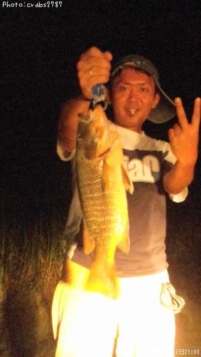 �������ӡ�