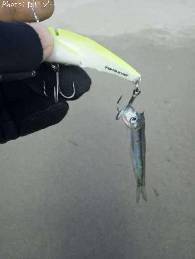 �����������亮