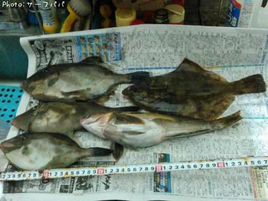 ����ϥ��������ʥᡢ���쥤