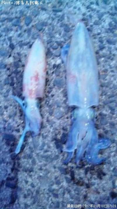 ���󥵥�����