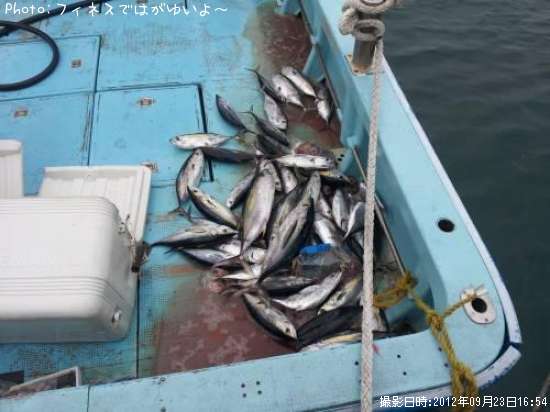 ���ϥ��ޥ��������ĥ�