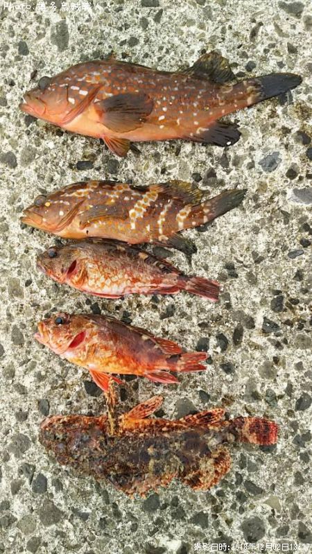 �����ϥ��������������˥�����