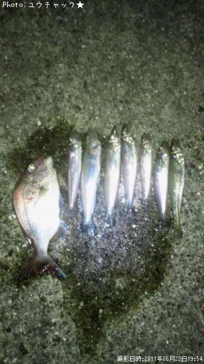 ����������ꥳ