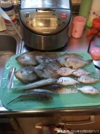 �򥭥�������ϥ�