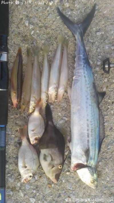 �������ޥ��������٥顦������