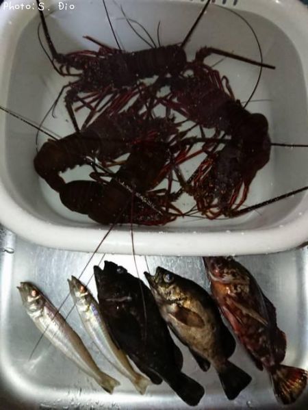 ������������������