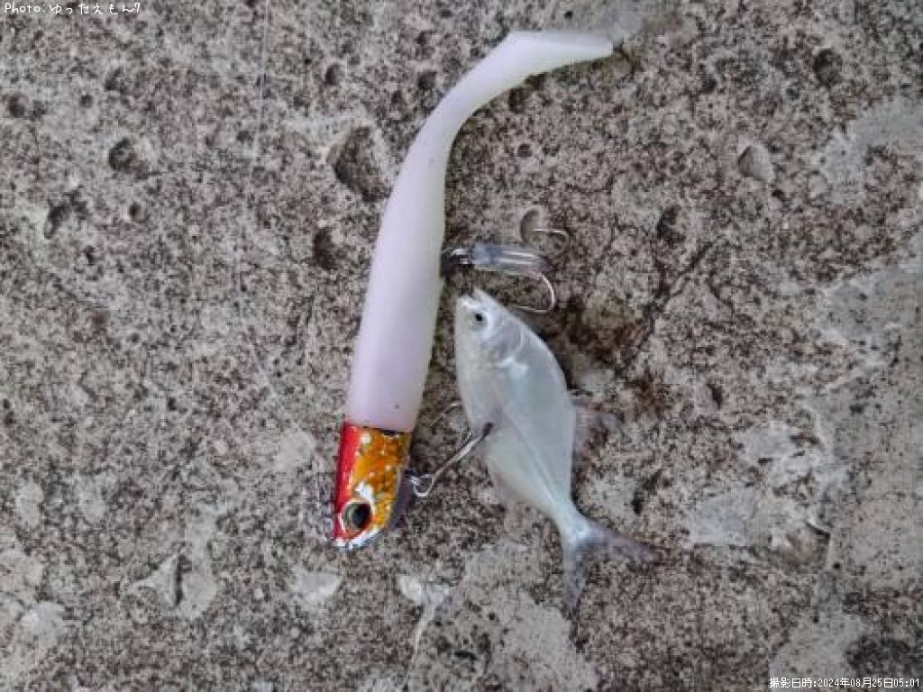 ���Х󥢥���