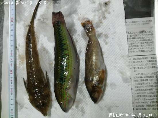 �������٥�