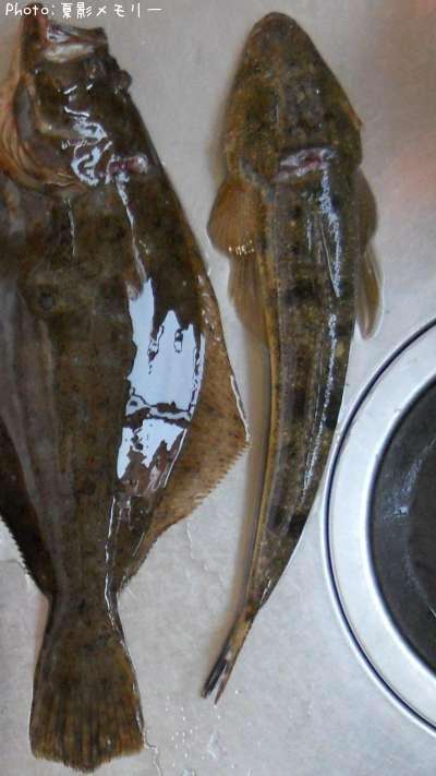 �����ȥ���