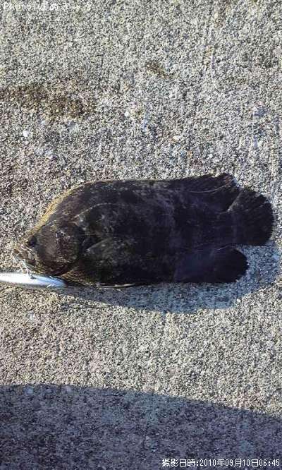 �����ε�