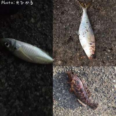 ���Υ���