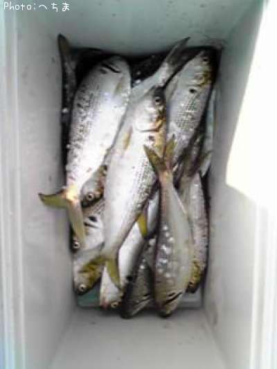 ���Υ���