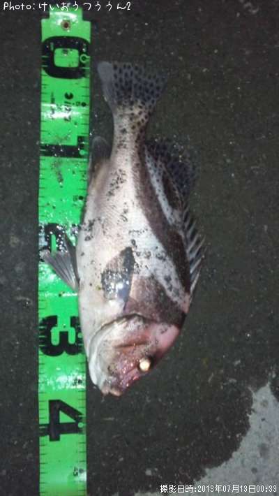 �����祦����