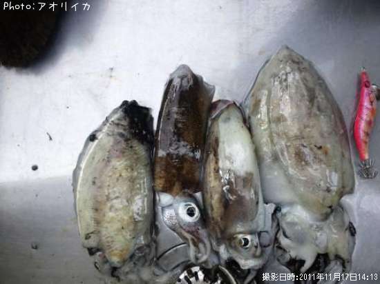 ���������������ꤤ��