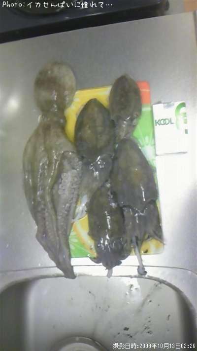 ��������������