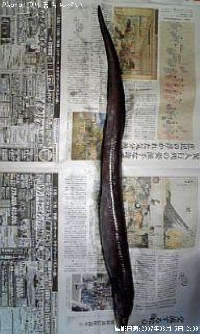 �������ʥ�