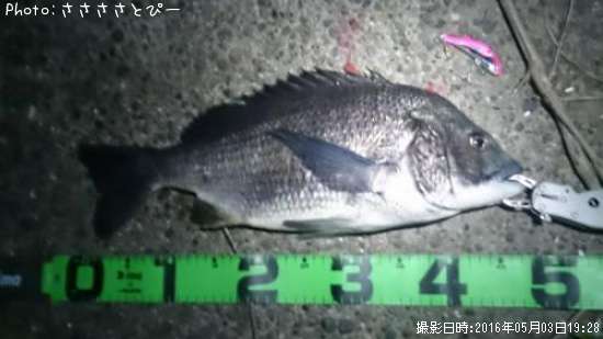 �����������٥���