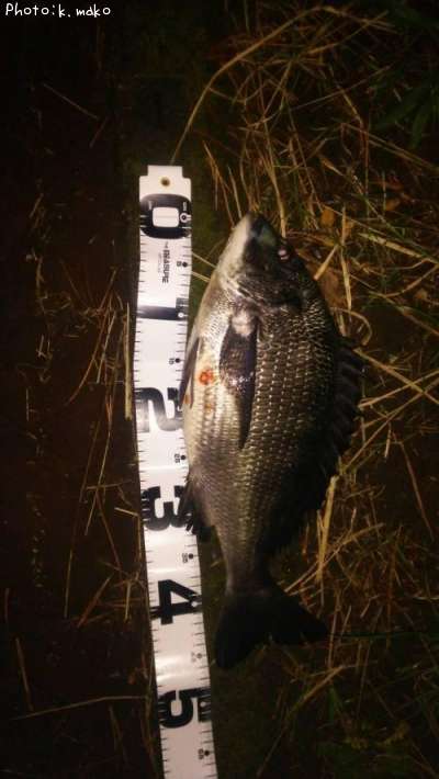 ��������������