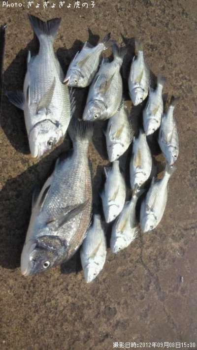 ����������������