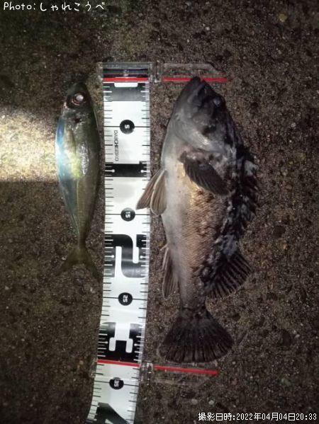 ��������������