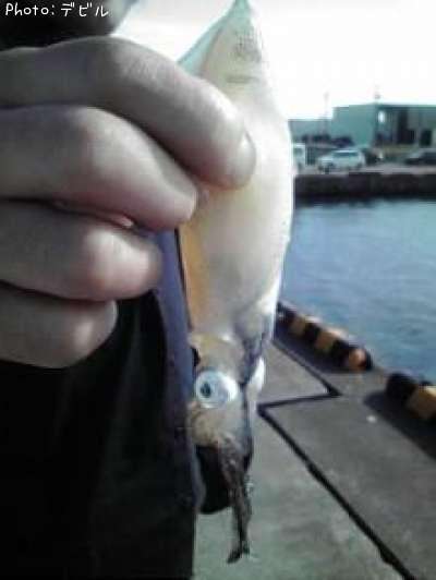 �����������ޥᥤ��