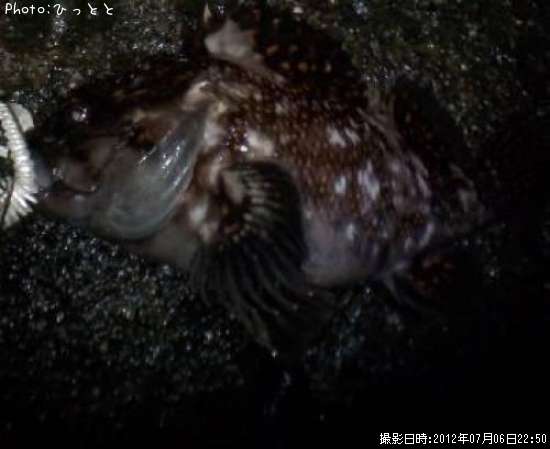 ������������饽����